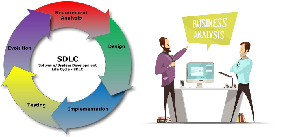 Business Analyst Perspective in Software Development Lifecycle